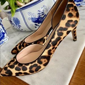 J Crew Leopard Collette Pump in haircalf sz 8.5
